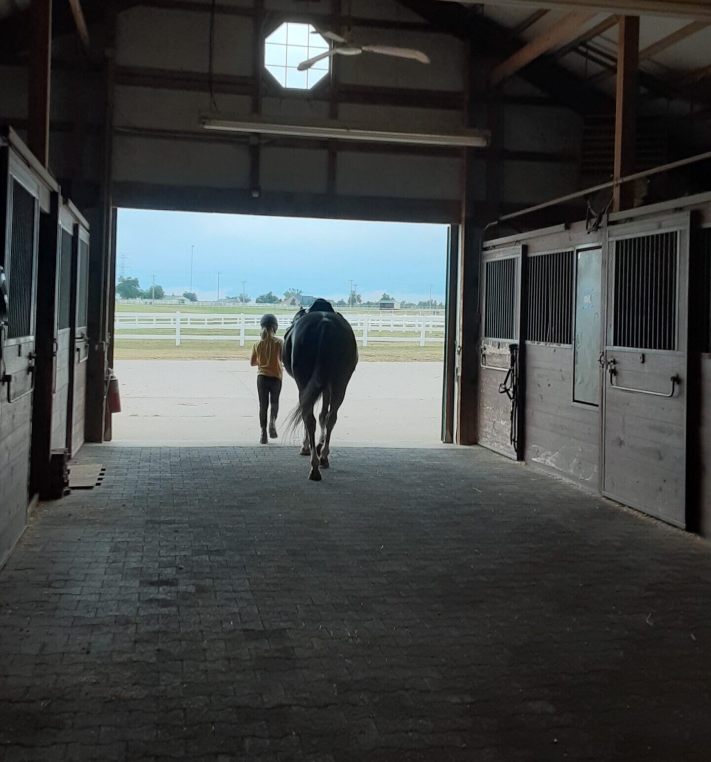 Wheeler Horsemanship 